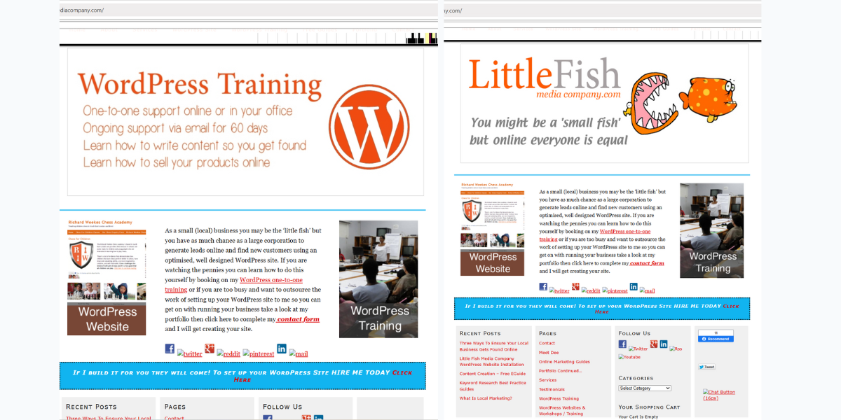 From Little Fish to Digital Marketing