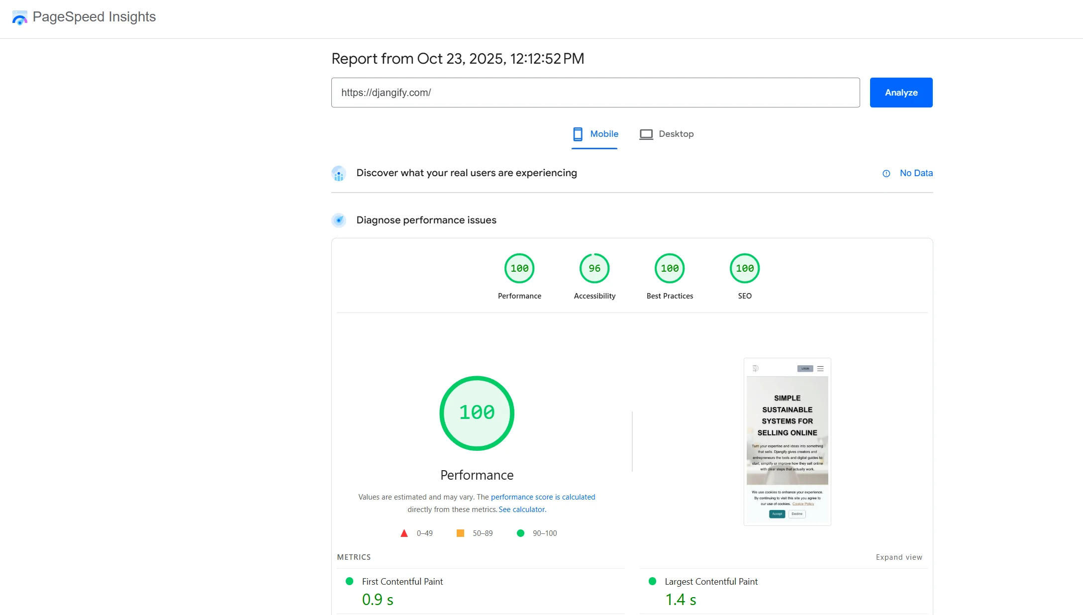 100% Lighthouse Score